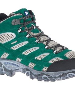 Modethis.shop00976773e1 2