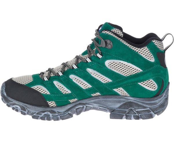 Modethis.shop00976773e1 4