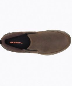 Modethis.shop85cfd03fa2 3